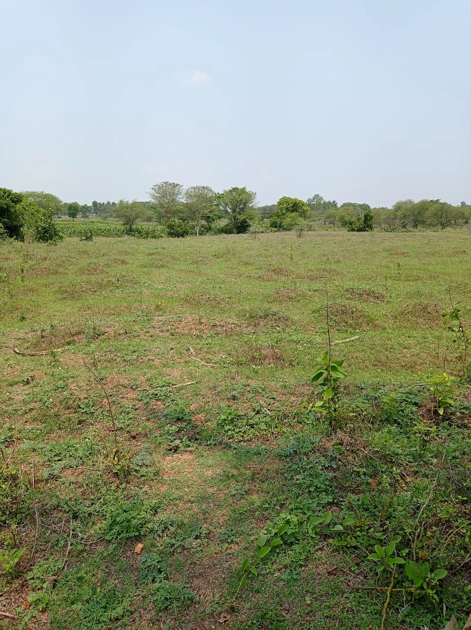 7.37 acres of Agricultural Land Off HD Kote Road